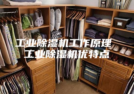 工业除湿机工作原理 工业除湿机优特点