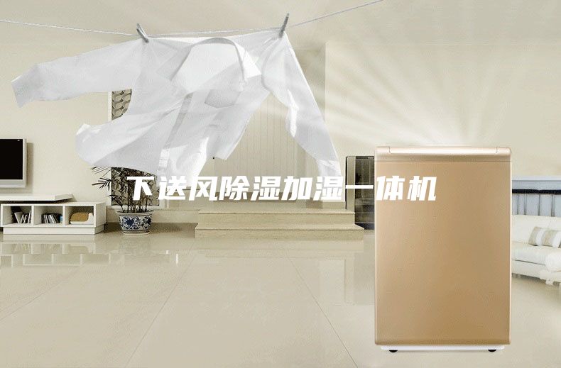 下送风除湿加湿一体机