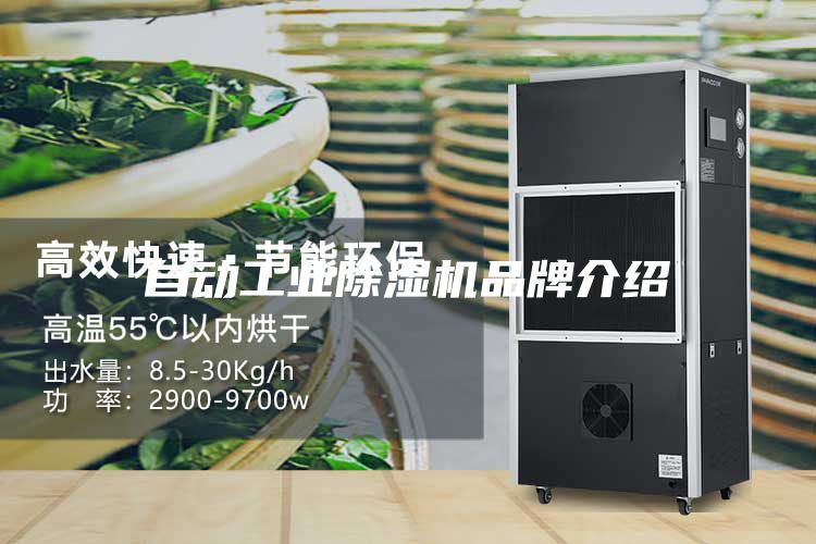 自动工业除湿机品牌介绍