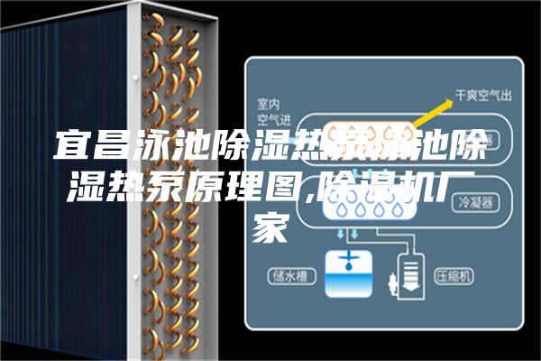 宜昌泳池除湿热泵泳池除湿热泵原理图,除湿机厂家