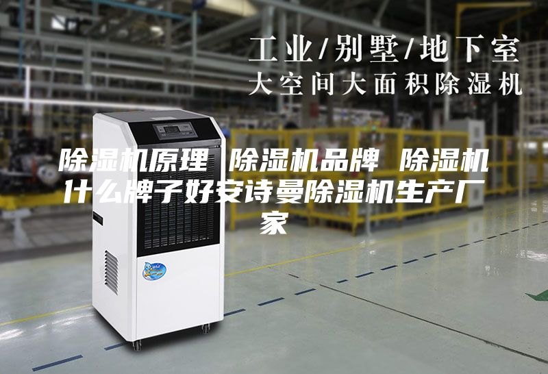除湿机原理 除湿机品牌 除湿机什么牌子好安诗曼除湿机生产厂家