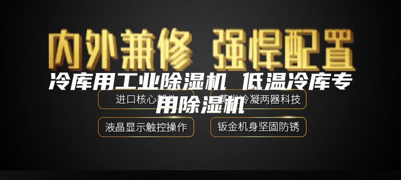 冷库用工业除湿机 低温冷库专用除湿机