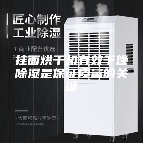 挂面烘干机有效干燥除湿是保证质量的关键