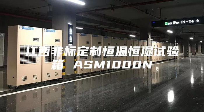 江西非标定制恒温恒湿试验箱 ASM1000N