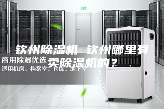 钦州除湿机 钦州哪里有卖除湿机的？