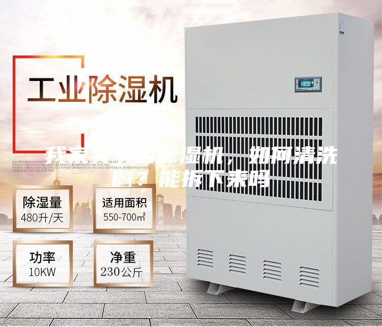 我家买了台除湿机，如何清洗啊？能拆下来吗