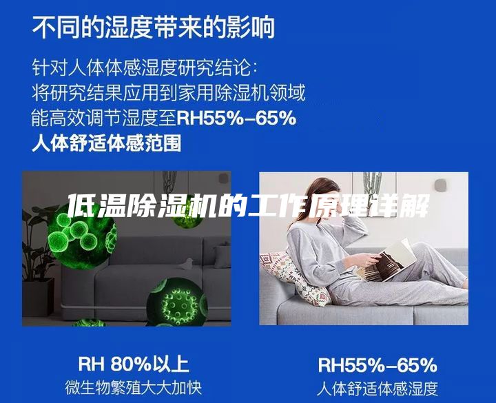 低温除湿机的工作原理详解