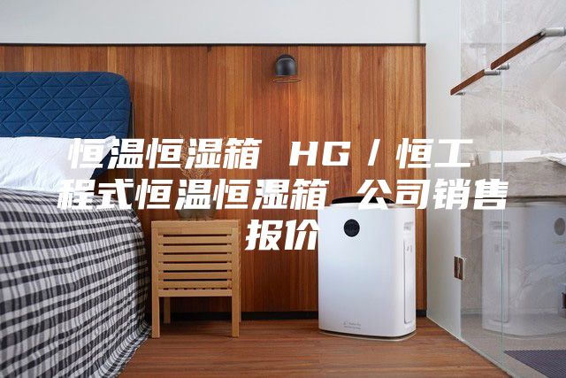 恒温恒湿箱 HG／恒工 程式恒温恒湿箱 公司销售报价