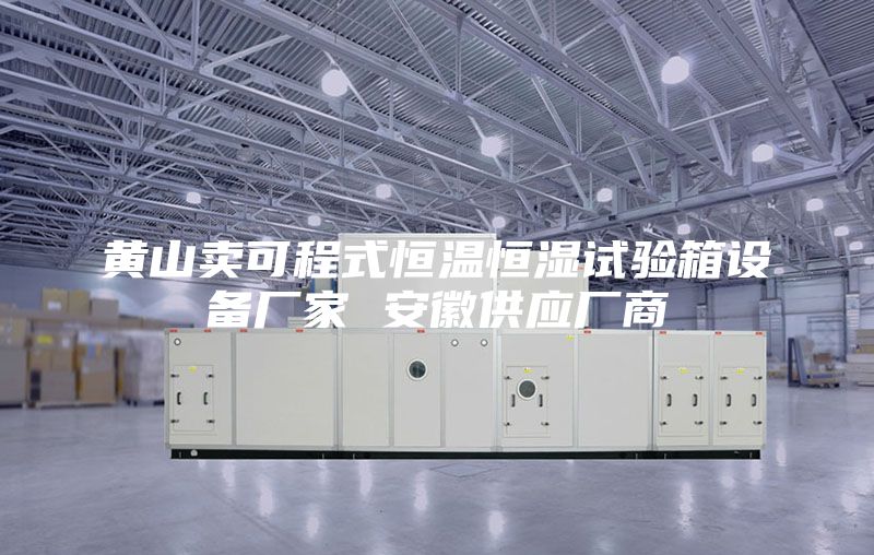 黄山卖可程式恒温恒湿试验箱设备厂家 安徽供应厂商