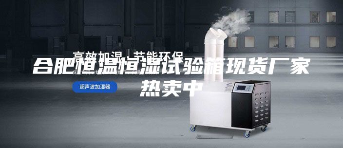 合肥恒温恒湿试验箱现货厂家热卖中