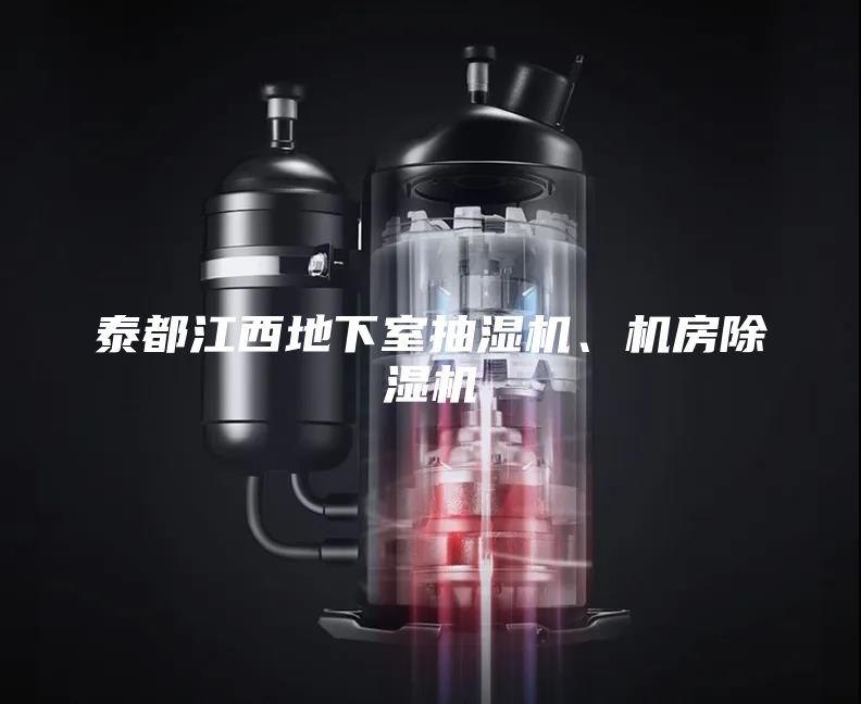 泰都江西地下室抽湿机、机房除湿机