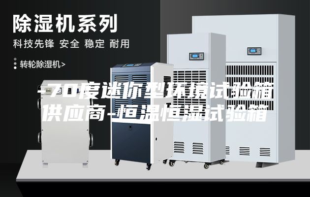 -70度迷你型环境试验箱供应商-恒温恒湿试验箱