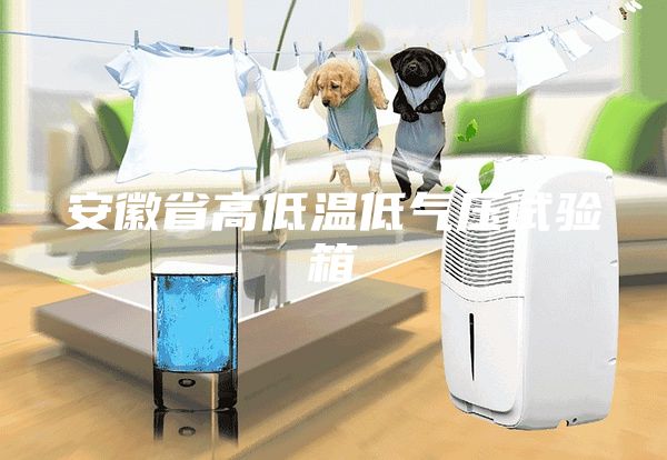 安徽省高低温低气压试验箱