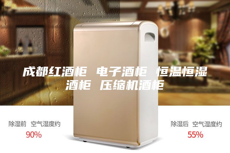 成都红酒柜 电子酒柜 恒温恒湿酒柜 压缩机酒柜