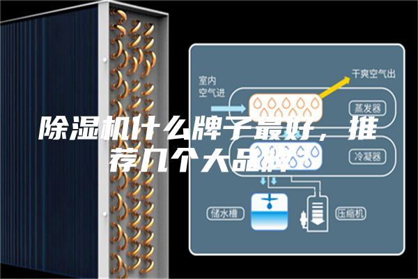 除湿机什么牌子最好，推荐几个大品牌？