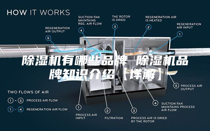 除湿机有哪些品牌 除湿机品牌知识介绍【详解】