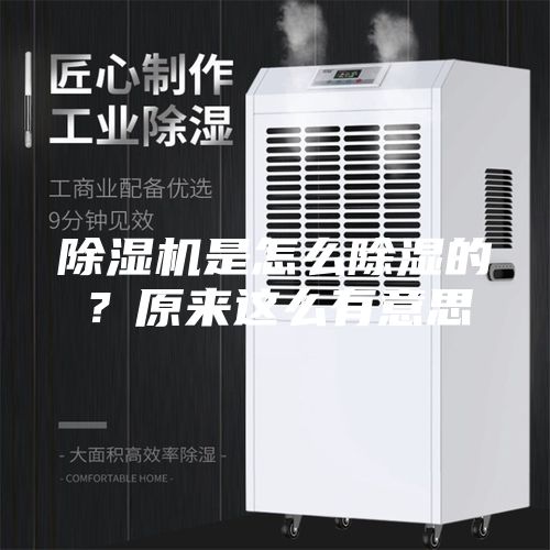 除湿机是怎么除湿的？原来这么有意思