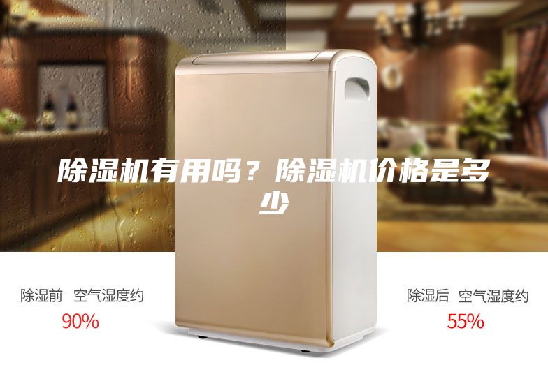 除湿机有用吗？除湿机价格是多少