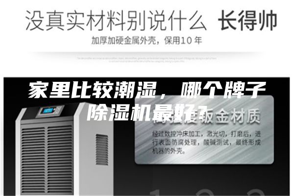 家里比较潮湿，哪个牌子除湿机最好？