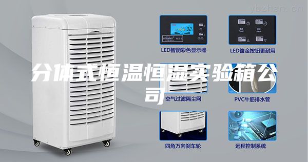 分体式恒温恒湿实验箱公司