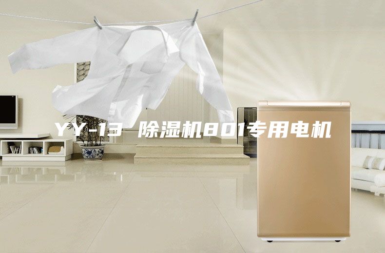 YY-13 除湿机801专用电机