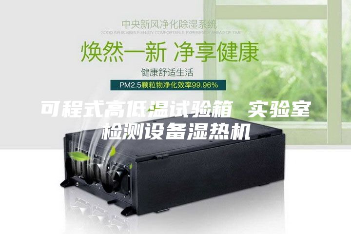 可程式高低温试验箱 实验室检测设备湿热机