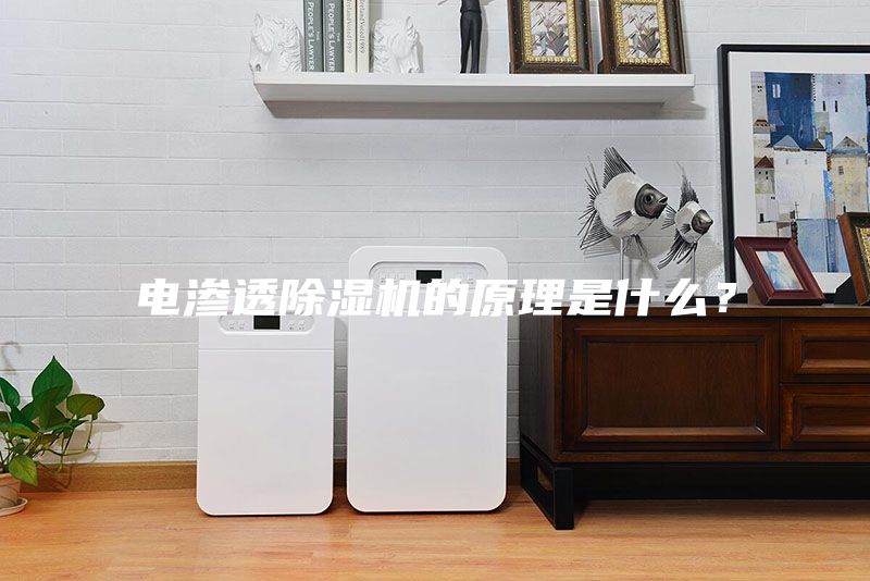 电渗透除湿机的原理是什么？
