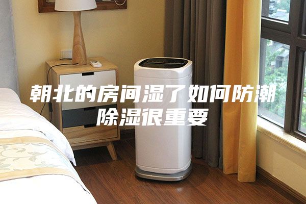 朝北的房间湿了如何防潮除湿很重要