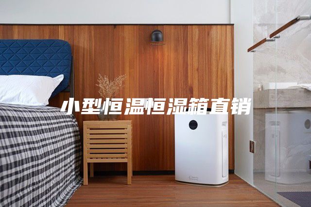 小型恒温恒湿箱直销
