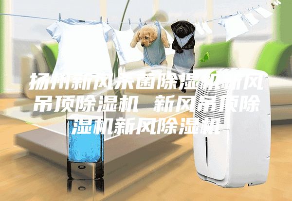 扬州新风杀菌除湿机新风吊顶除湿机 新风吊顶除湿机新风除湿机