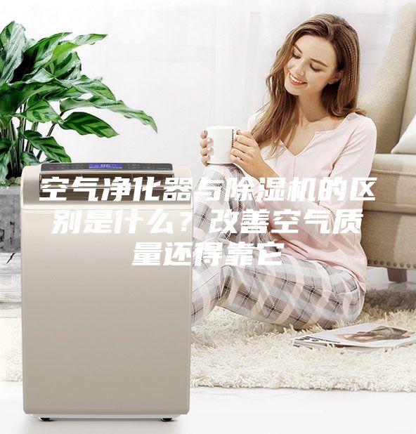 空气净化器与除湿机的区别是什么？改善空气质量还得靠它