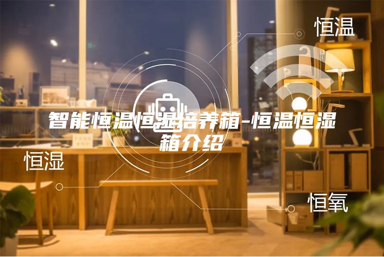 智能恒温恒湿培养箱-恒温恒湿箱介绍