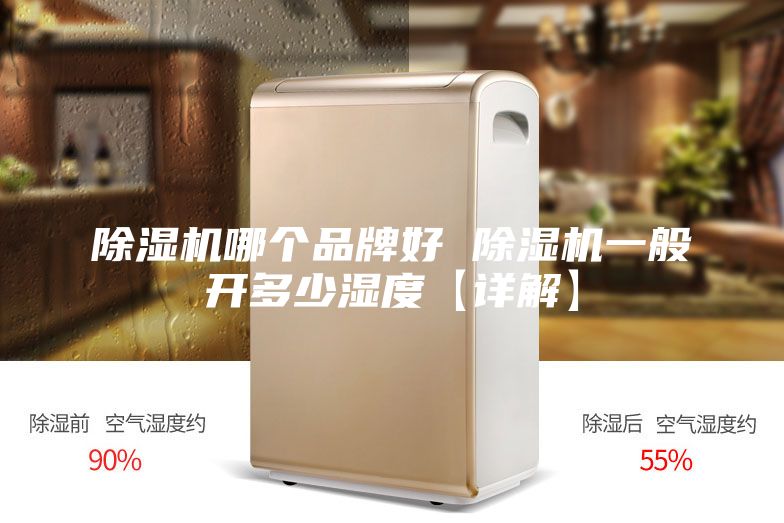 除湿机哪个品牌好 除湿机一般开多少湿度【详解】