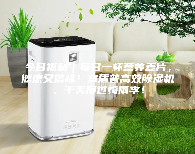 今日福利｜每日一杯营养麦片，健康又落味！宜盾普高效除湿机，干爽度过梅雨季！