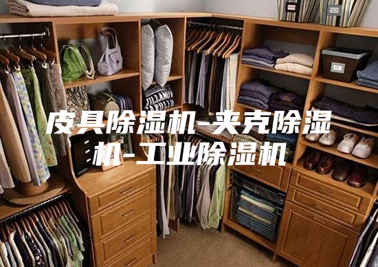 皮具除湿机-夹克除湿机-工业除湿机