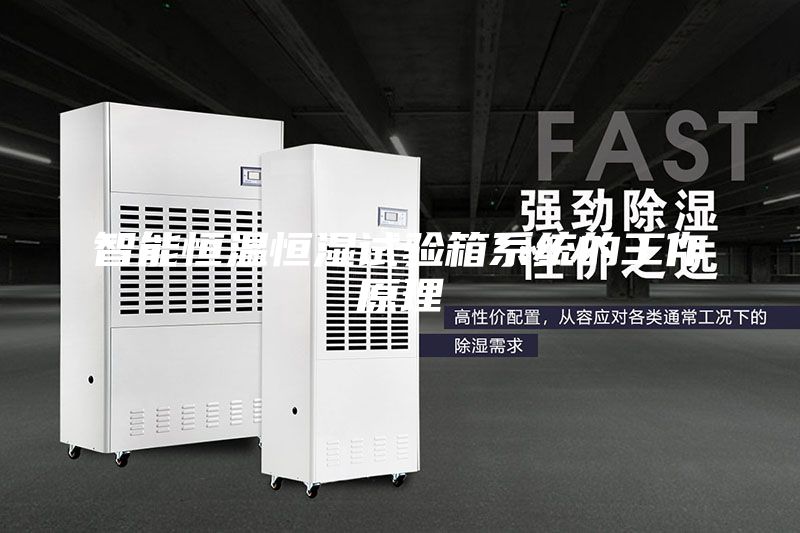 智能恒温恒湿试验箱系统的工作原理