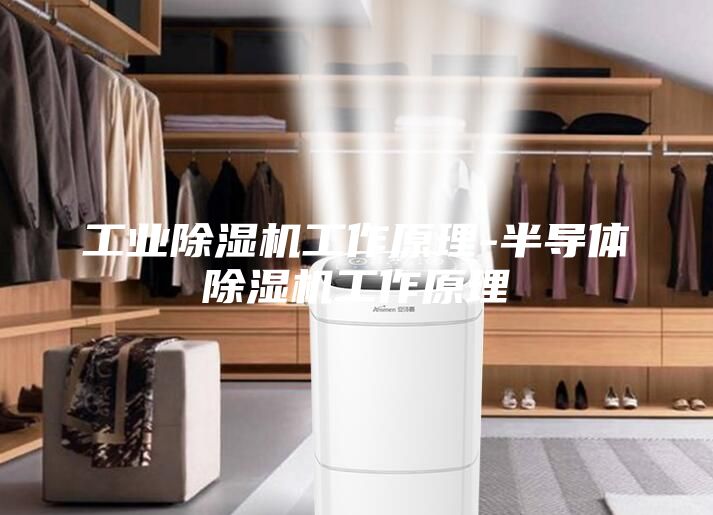 工业除湿机工作原理-半导体除湿机工作原理