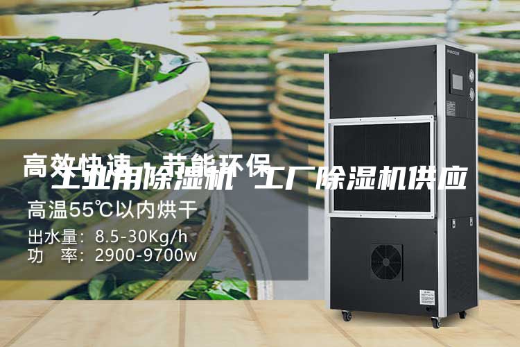 工业用除湿机 工厂除湿机供应