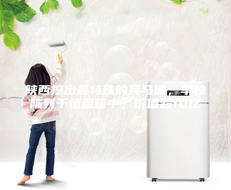陕西挖出最特殊的兵马俑，单独陈列于恒温箱中，价值超10亿