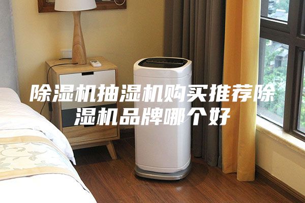 除湿机抽湿机购买推荐除湿机品牌哪个好