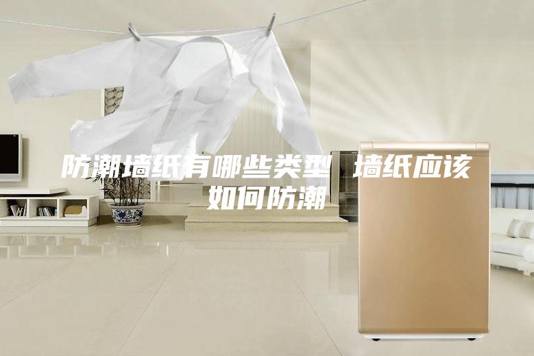 防潮墙纸有哪些类型 墙纸应该如何防潮