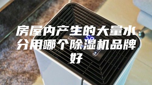 房屋内产生的大量水分用哪个除湿机品牌好