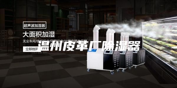 温州皮革厂除湿器