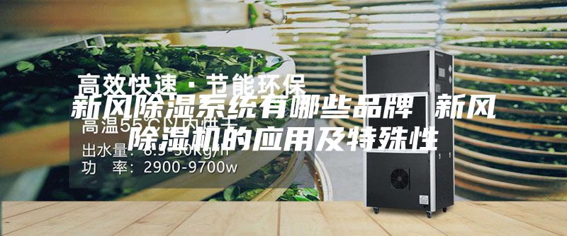新风除湿系统有哪些品牌 新风除湿机的应用及特殊性