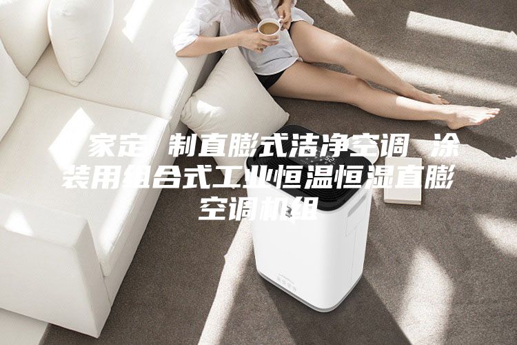 厂家定 制直膨式洁净空调 涂装用组合式工业恒温恒湿直膨空调机组