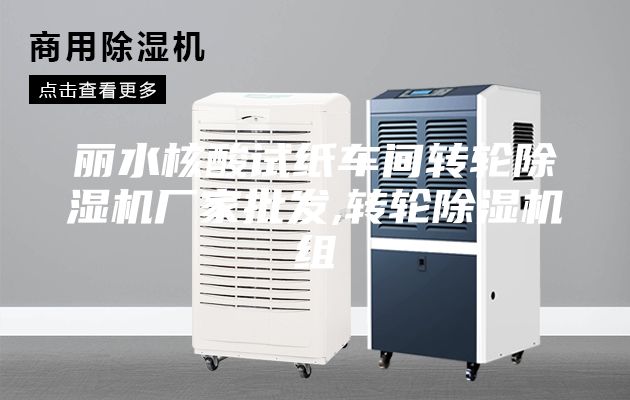 丽水核酸试纸车间转轮除湿机厂家批发,转轮除湿机组