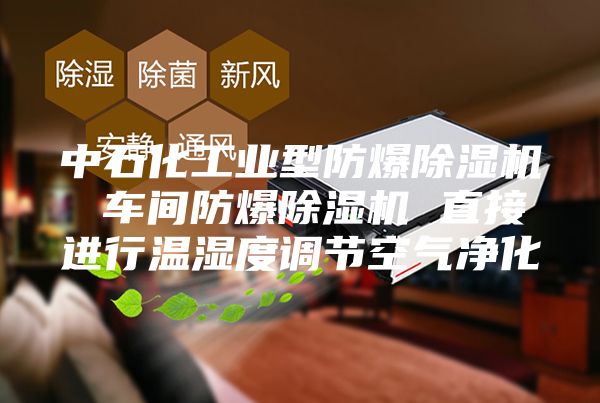 中石化工业型防爆除湿机 车间防爆除湿机 直接进行温湿度调节空气净化