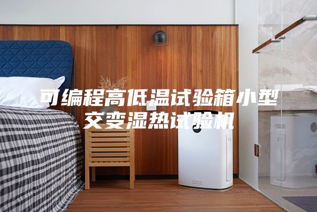 可编程高低温试验箱小型交变湿热试验机