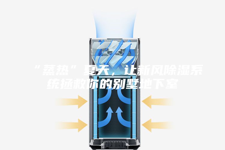 “蒸热”夏天，让新风除湿系统拯救你的别墅地下室