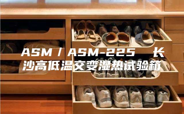 ASM／ASM-225  长沙高低温交变湿热试验箱